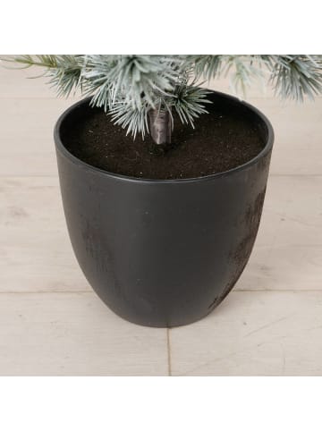 Boltze Weihnachtsbaum in mehrfarben