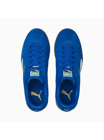 Puma Handballschuh Handball in Blau