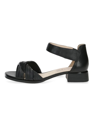 Caprice Sandalen in Schwarz