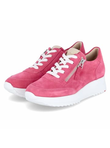 LLOYD Low Sneaker MOMO in Pink