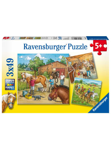 Ravensburger Mein Reiterhof. Puzzle (3 x 49 Teile)