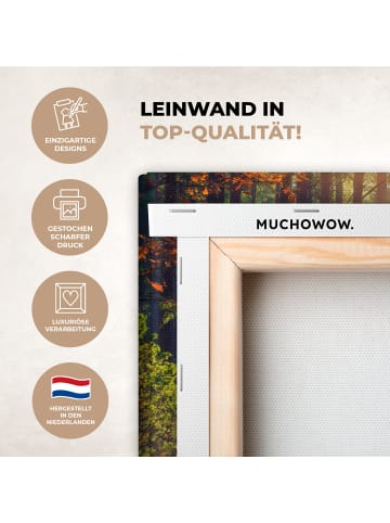 MuchoWow Leinwand bilder Waldpfad (BxH)