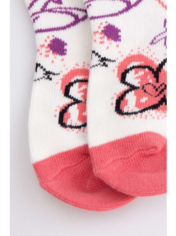 Coccodrillo Socken in bunt
