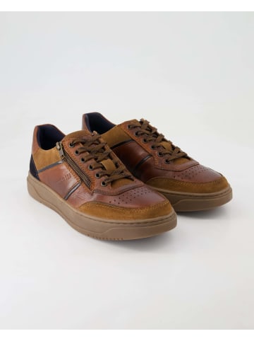 bugatti shoes Sneaker low in Braun
