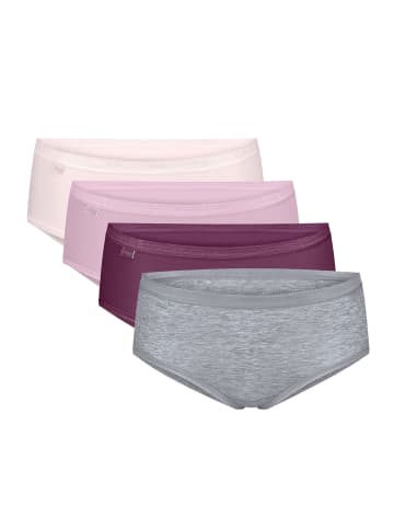 Sloggi Maxislip Originals Basic in MULTIPLE COLOURS 14