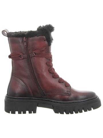 TT. BAGATT Stiefeletten in bordeaux