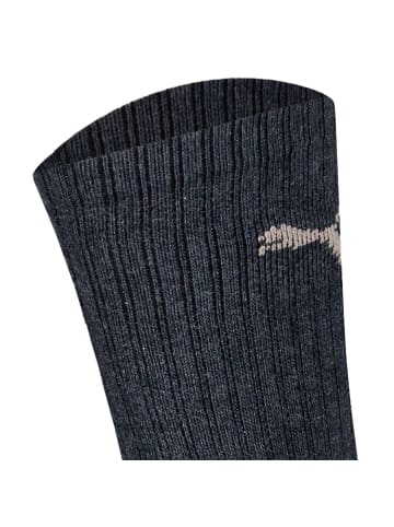 Puma Socken 6er Pack in Dunkelblau/Blau/Hellblau