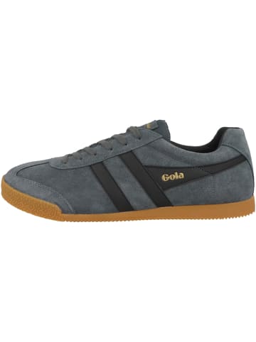 Gola Sneaker low Harrier Suede in grau