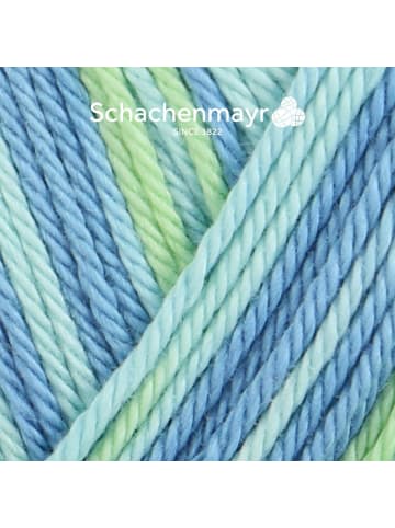 Schachenmayr since 1822 Handstrickgarne Catania Color, 50g in Fresh