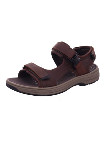 Clarks Herrensandalette Trecking  in  Braun