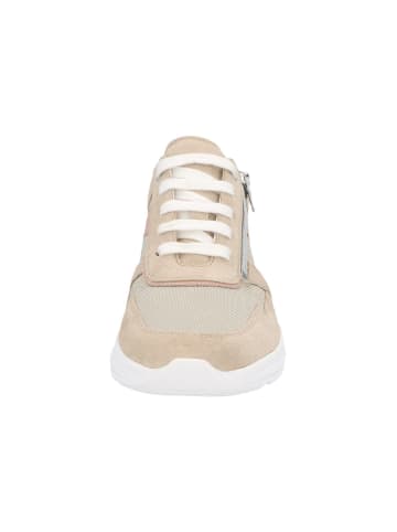 Solidus Sneaker Low in beige