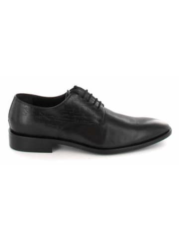 Galizio Torresi Schnürschuh in schwarz