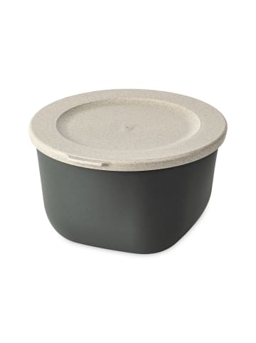 koziol CONNECT BOX 1 - Box mit Deckel 1l in nature ash grey