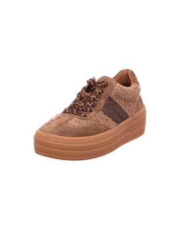 Gabor Schnürschuhe in braun leo