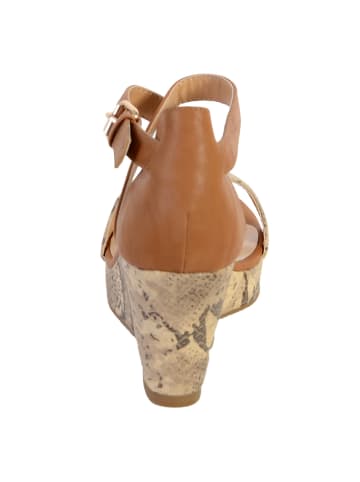 Divine Factory Sandalen mit Keilabsatz Schlange Braun