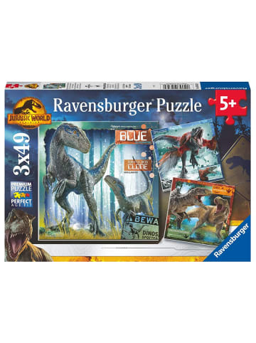 Ravensburger Kinder Puzzle Box | Jurassic World | 3 x 49 Teile | Ravensburger