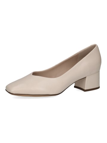 Caprice Pumps in Cream