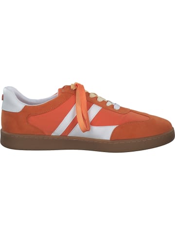 La Strada Schnürschuhe in Orange