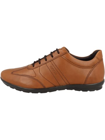 Geox Schnürschuhe Uomo Symbol B in braun