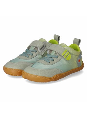 Barfußschuhe FICHTE in grün