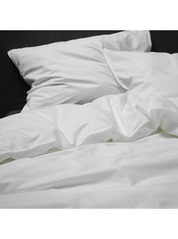 Essenza Bettwäsche Guy in White