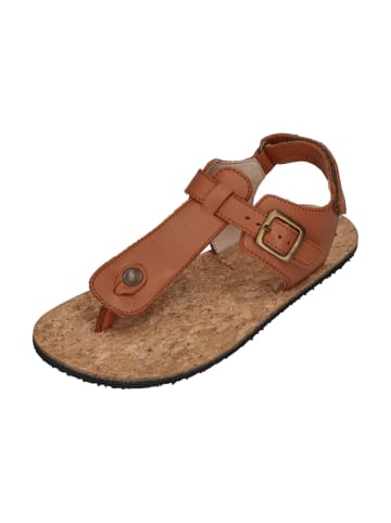 KOEL Sandalen ABRIANA NAPA  in braun