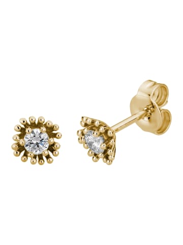 Lyomi 585/- Gold in gelb
