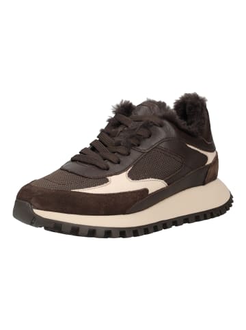 LLOYD Sneaker in Moro