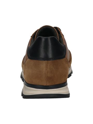 Bugatti Sneaker in braun