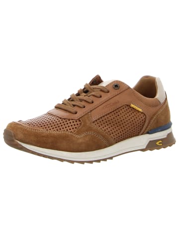 Camel Active Sneaker Low in braun