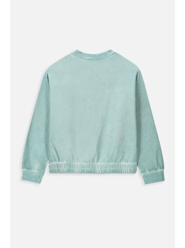 Coccodrillo Sweatshirt in grün