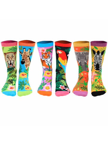 United Oddsocks Socken 3er Pack in Jungle Fever