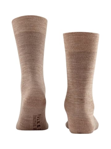 Falke Socken 1er Pack in Beige