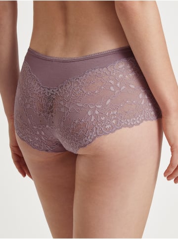 Calida Panty in elderberry