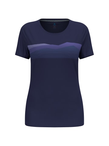 Odlo F-DRY RIDGELINE in Grau0692