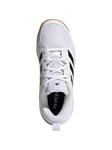 adidas Performance Hallenschuhe LIGRA 7 in ftwr white-core black-ftwr white