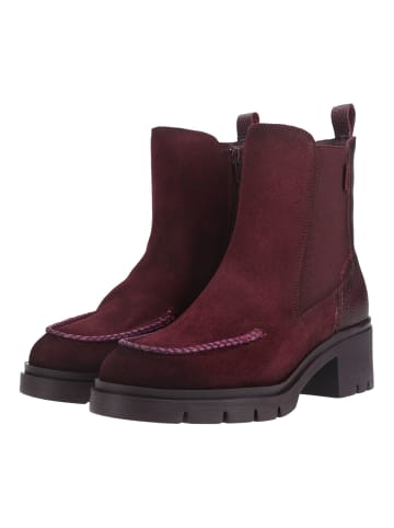 Hispanitas Stiefelette CHICAGO-6 CHICAGO-6 in Bordeaux