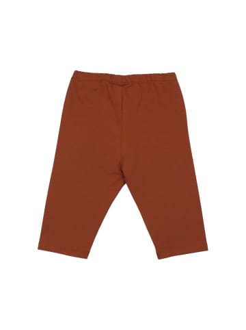 Walkiddy Leggings Cocoa Dream-3/4 Leggings