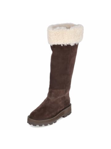 Australia Luxe Collective Winterstiefel TITAN in braun