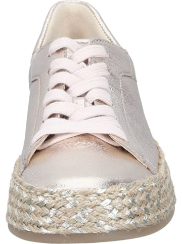 Gabor Sneakers Low in puder