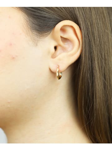 Vanlere Creolen aus 375 Gelbgold