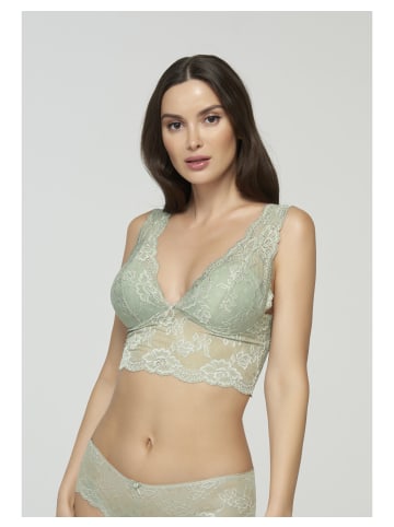 Marc and Andre Bralette Flirt in Green