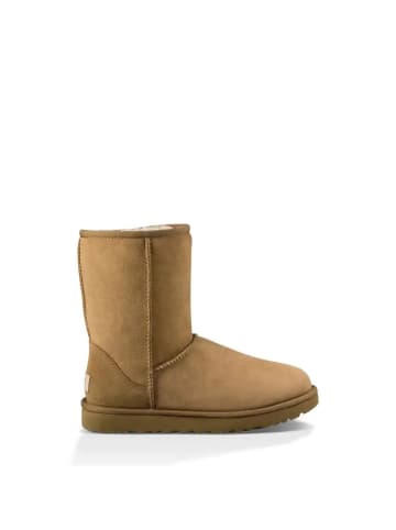 UGG Botas Classic in Beige