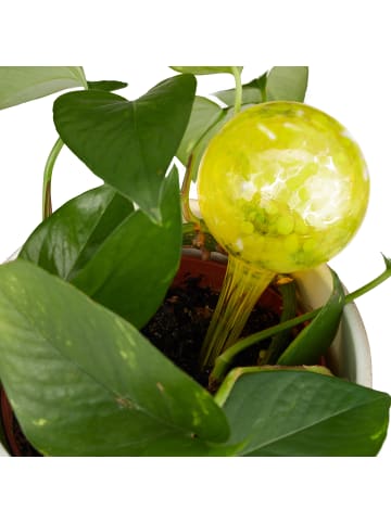 relaxdays 10x Bewässerungskugel in Gelb