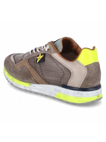 Cetti Schnürhalbschuh in taupe