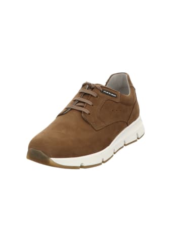 Gabor Schnürschuh in braun