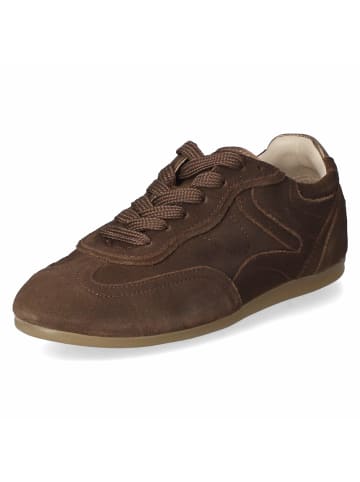 Fräulein Frida Schnürhalbschuh in brown