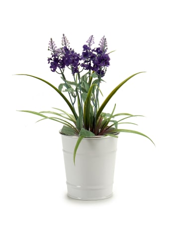 IBERGARDEN Eimerförmiger Übertopf, Zinn in Weiß, Ø 10 cm