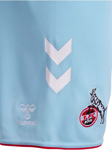 Hummel Hummel Kurze Hose 1Fck 23/24 Fußball Erwachsene Atmungsaktiv Schnelltrocknend in AIRY BLUE