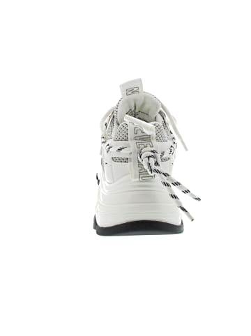 Steve Madden Tazmania Sneaker Weiß